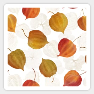 Physalis red, orange flowers watercolor print. Cape gooseberry buds' structure. Golden berry, Chinese lantern composition Sticker